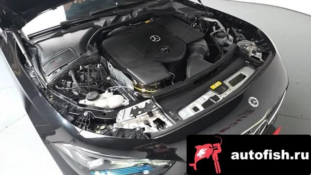 Mercedes-Benz CLE-Class CLE-Class C236 2025 года - вид 5