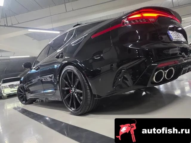 Kia Stinger Stinger Meister 2023 года - вид 4