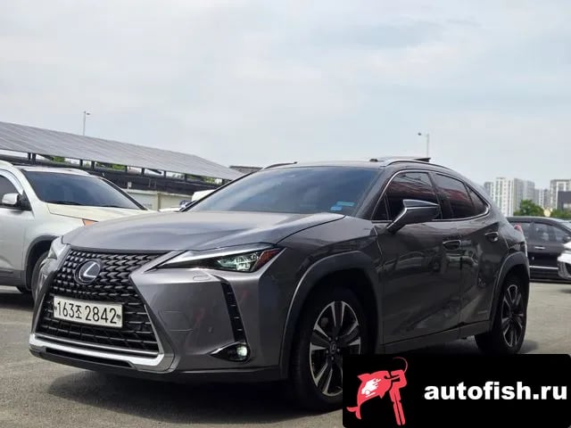 Lexus UX UX250h 2019 года - вид 2