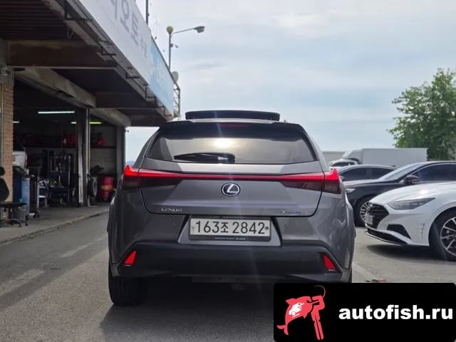 Lexus UX UX250h 2019 года - вид 6