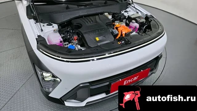 Hyundai Kona Kona Hybrid (SX2) 2025 года - вид 6