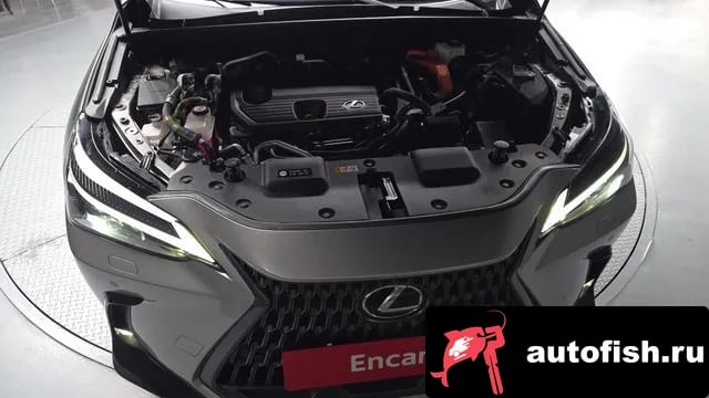 Lexus NX NX450h + 2nd generation 2023 года - вид 6