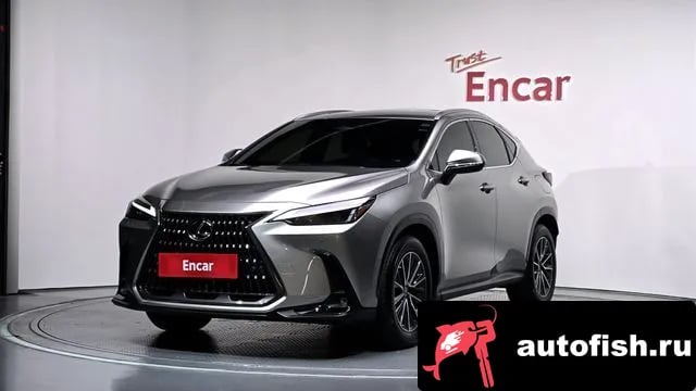 Lexus NX NX450h + 2nd generation 2023 года - автомобиль из Южной Кореи