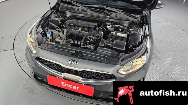 Kia K3 Come New K3 2019 года - вид 6