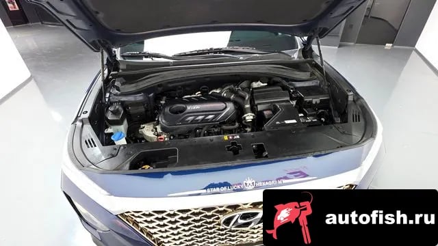 Hyundai Santafe San Tafe TM 2019 года - вид 6