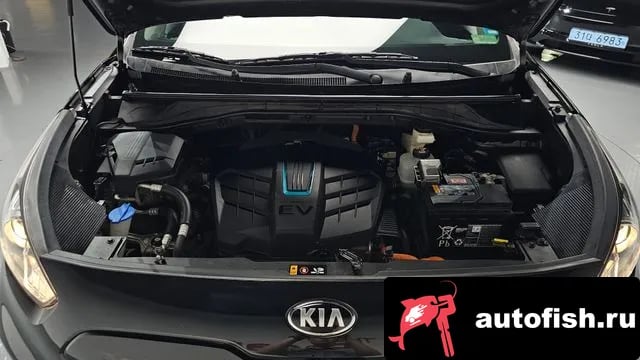 Kia Niro Niro EV 2018 года - вид 6