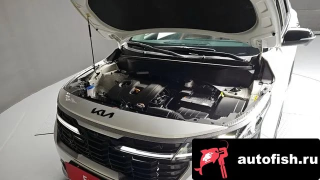 Kia Seltos The New Celtos 2022 года - вид 6