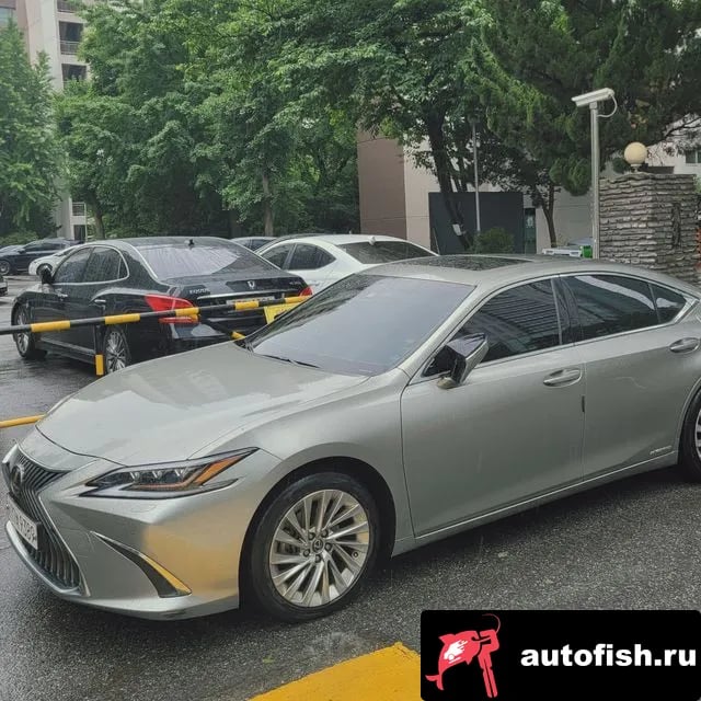 Lexus ES ES300h 7th generation 2021 года - вид 1