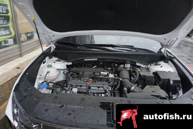 Hyundai Tucson The New Tucson (NX4) 2025 года - вид 6