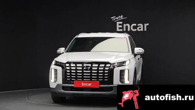 Hyundai Palisade The New Palisade 2024 года - вид 3