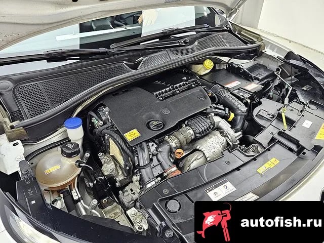 Citroen-DS C4 CACTUS C4 Cactus 2018 года - вид 6