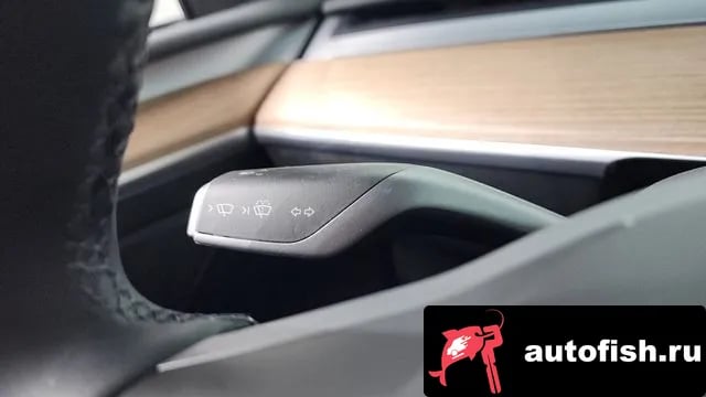 Tesla Model Y Model Y 2024 года - похожие автомобили