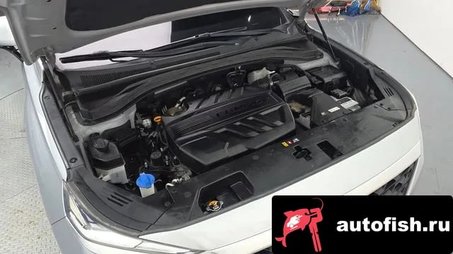 Hyundai Santafe San Tafe TM 2019 года - вид 6