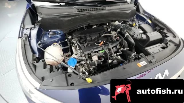 Kia Seltos The New Celtos 2023 года - вид 6