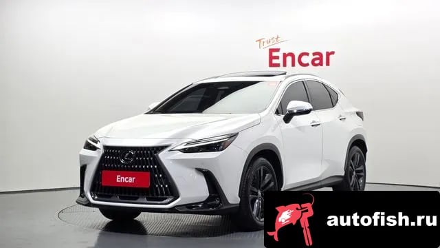 Lexus NX NX350h Second generation 2023 года - вид 1