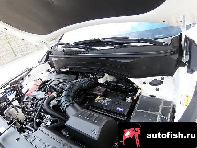 Kia Seltos The New Celtos 2024 года - вид 6