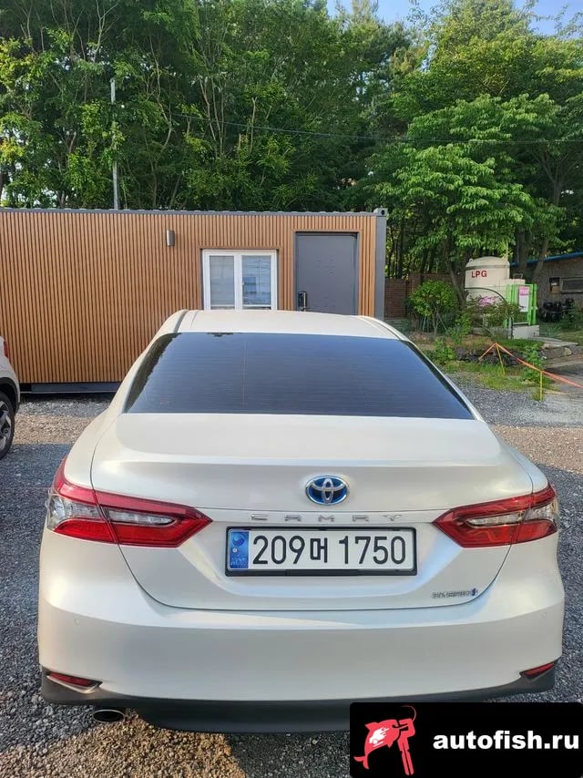 Toyota Camry Camry (XV80) 2024 года - вид 4