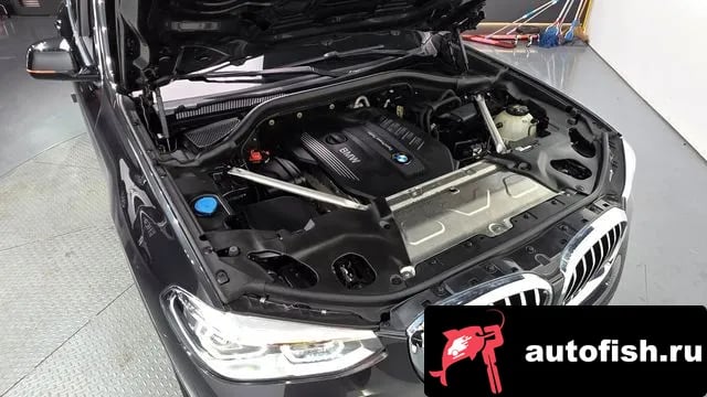 BMW X3 X3 (G01) 2019 года - вид 6