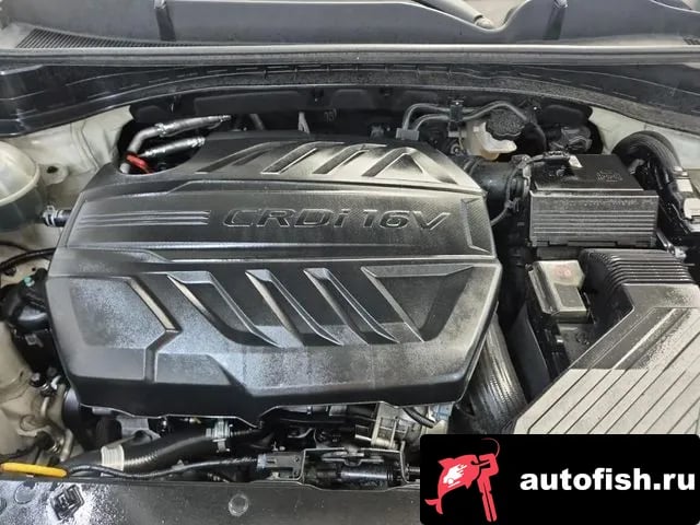 Kia Sportage Sportage The Bold 2020 года - вид 5