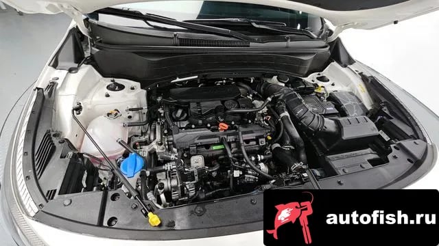 Kia Seltos The New Celtos 2025 года - вид 6