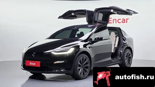 Tesla Model X Model X 2023 года - автомобиль из Южной Кореи