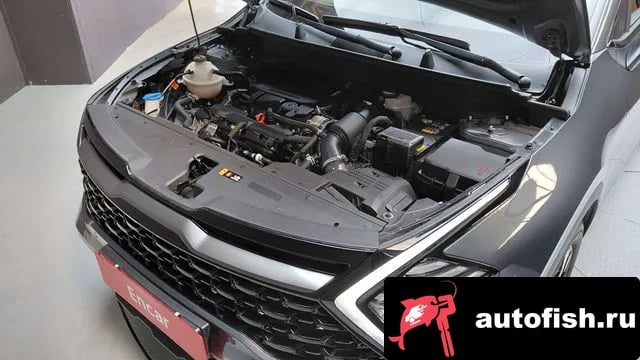 Kia Sportage Sportage 5th Generation 2024 года - вид 6
