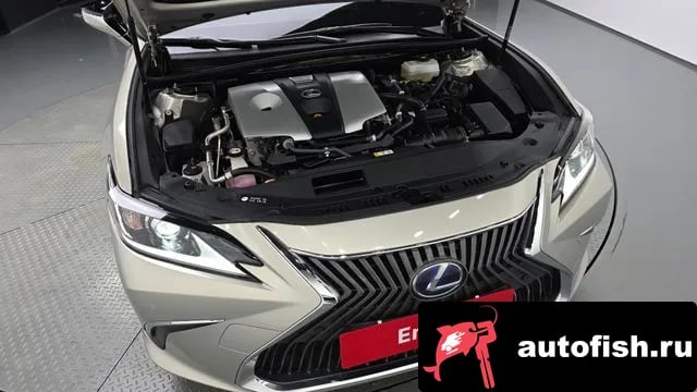 Lexus ES ES300h 7th generation 2020 года - вид 5