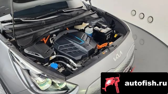 Kia Niro Niro EV 2021 года - вид 6