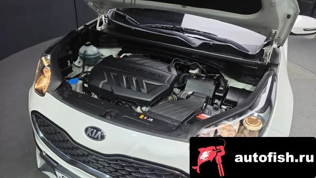 Kia Sportage Sportage The Bold 2018 года - вид 6