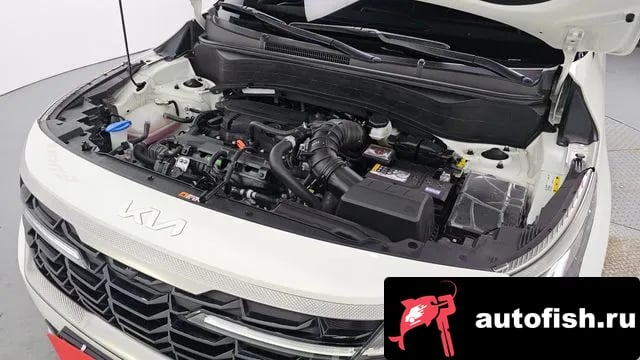 Kia Seltos The New Celtos 2025 года - вид 6