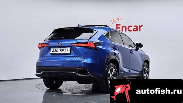 Lexus NX NX300h 2019 года - вид 2