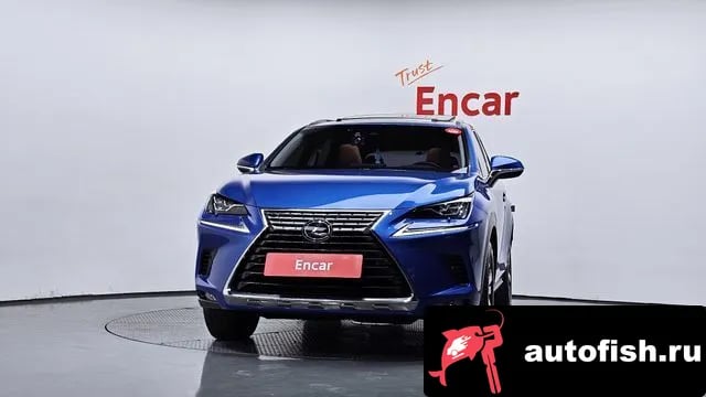 Lexus NX NX300h 2019 года - вид 3