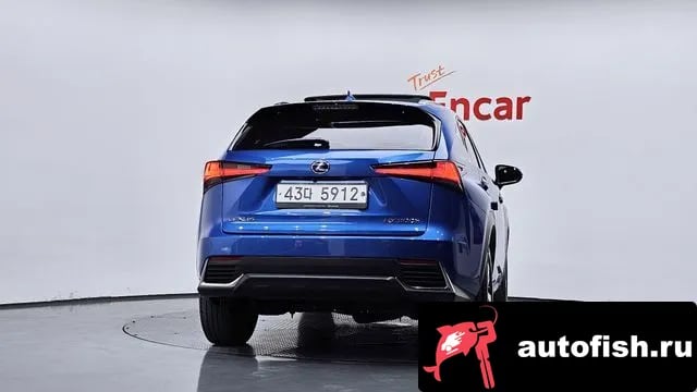 Lexus NX NX300h 2019 года - вид 4