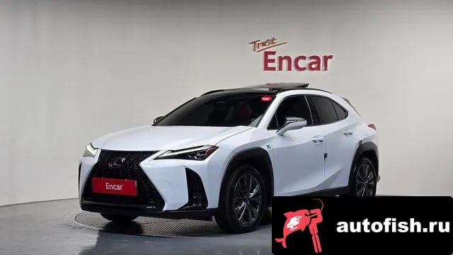 Lexus UX UX300h 2024 года - вид 1