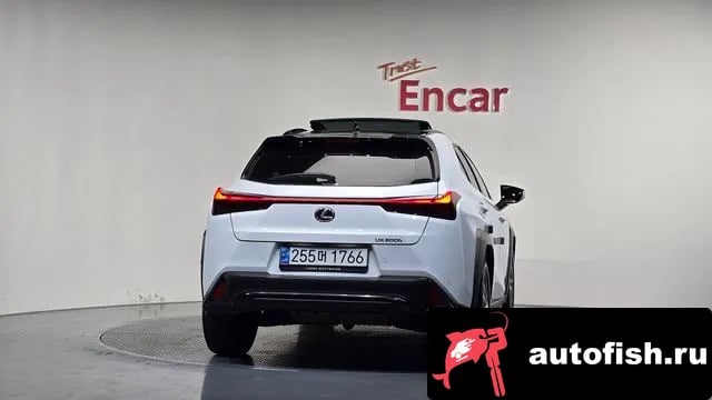 Lexus UX UX300h 2024 года - вид 4