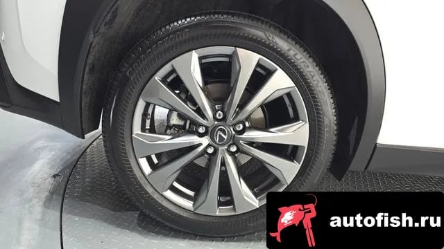 Lexus UX UX300h 2024 года - вид 5