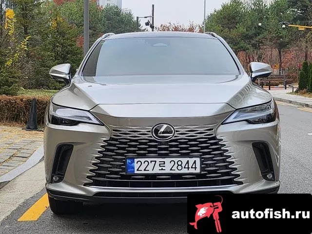 Lexus RX RX350h 5th generation 2023 года - автомобиль из Южной Кореи