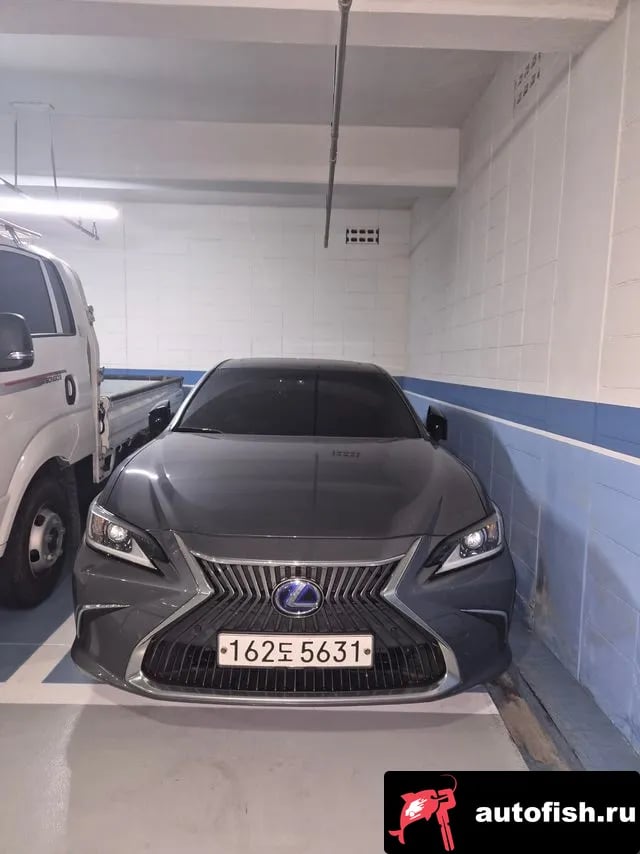 Lexus ES ES300h 7th generation 2020 года - похожие автомобили