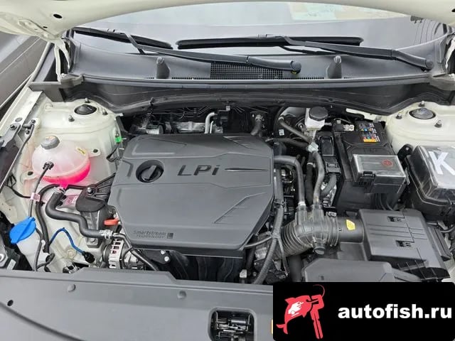 Kia Sportage Sportage 5th Generation 2024 года - вид 6