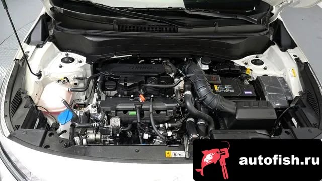 Kia Seltos The New Celtos 2025 года - вид 6