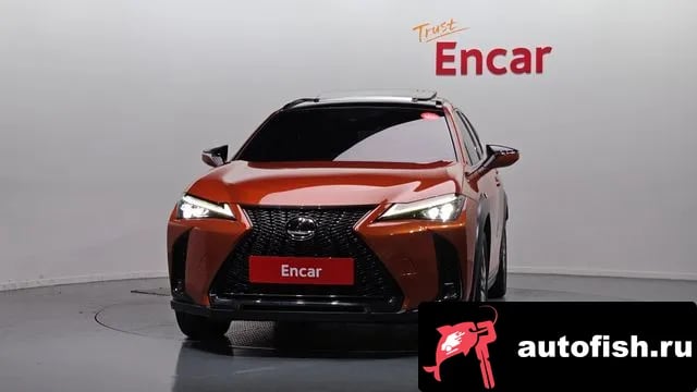 Lexus UX UX250h 2023 года - похожие автомобили