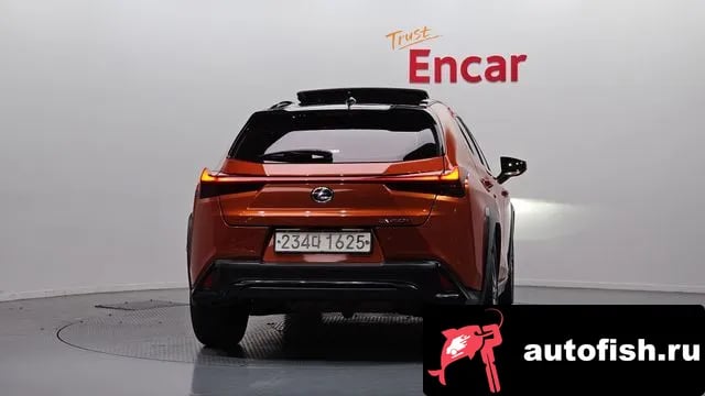Lexus UX UX250h 2023 года - вид 4