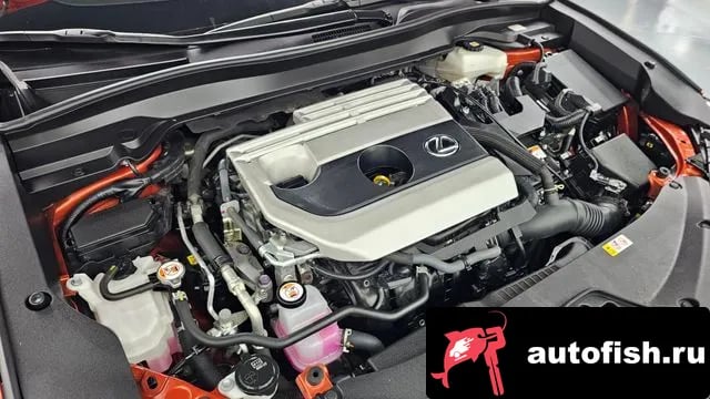 Lexus UX UX250h 2023 года - вид 6