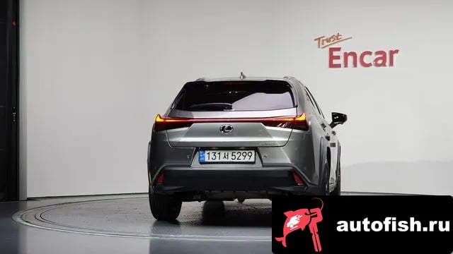 Lexus UX UX300h 2025 года - вид 4