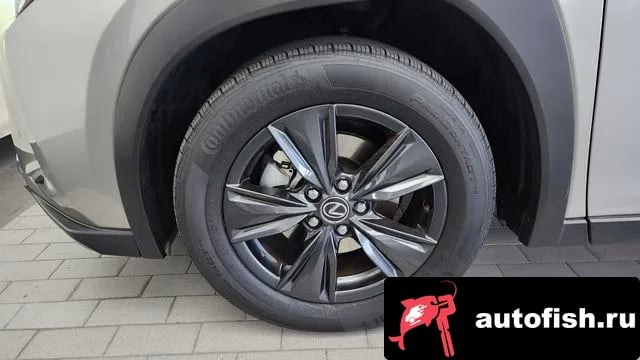 Lexus UX UX300h 2025 года - вид 5