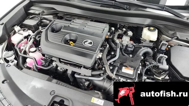Lexus UX UX300h 2025 года - вид 6