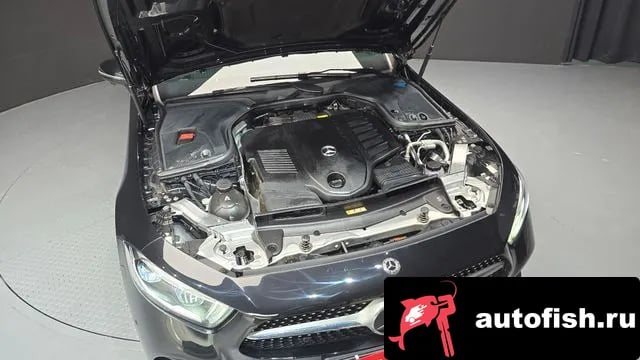 Mercedes-Benz CLS-Class CLS-Class C257 2021 года - вид 6