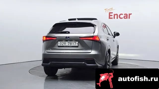Lexus NX NX300h 2019 года - вид 4