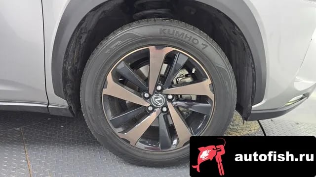 Lexus NX NX300h 2019 года - вид 5