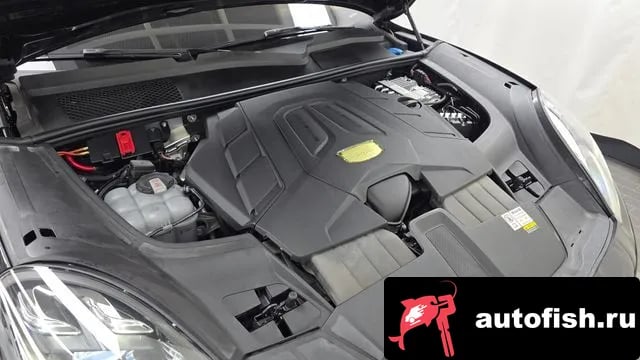 Porsche Cayenne Cayenne (PO536) 2023 года - вид 6